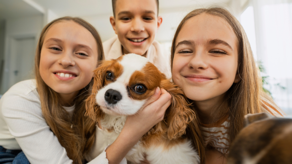 Cachorros e Crianças